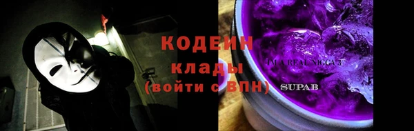 ГАЛЛЮЦИНОГЕННЫЕ ГРИБЫ Богданович
