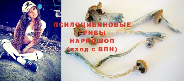ГАЛЛЮЦИНОГЕННЫЕ ГРИБЫ Богданович